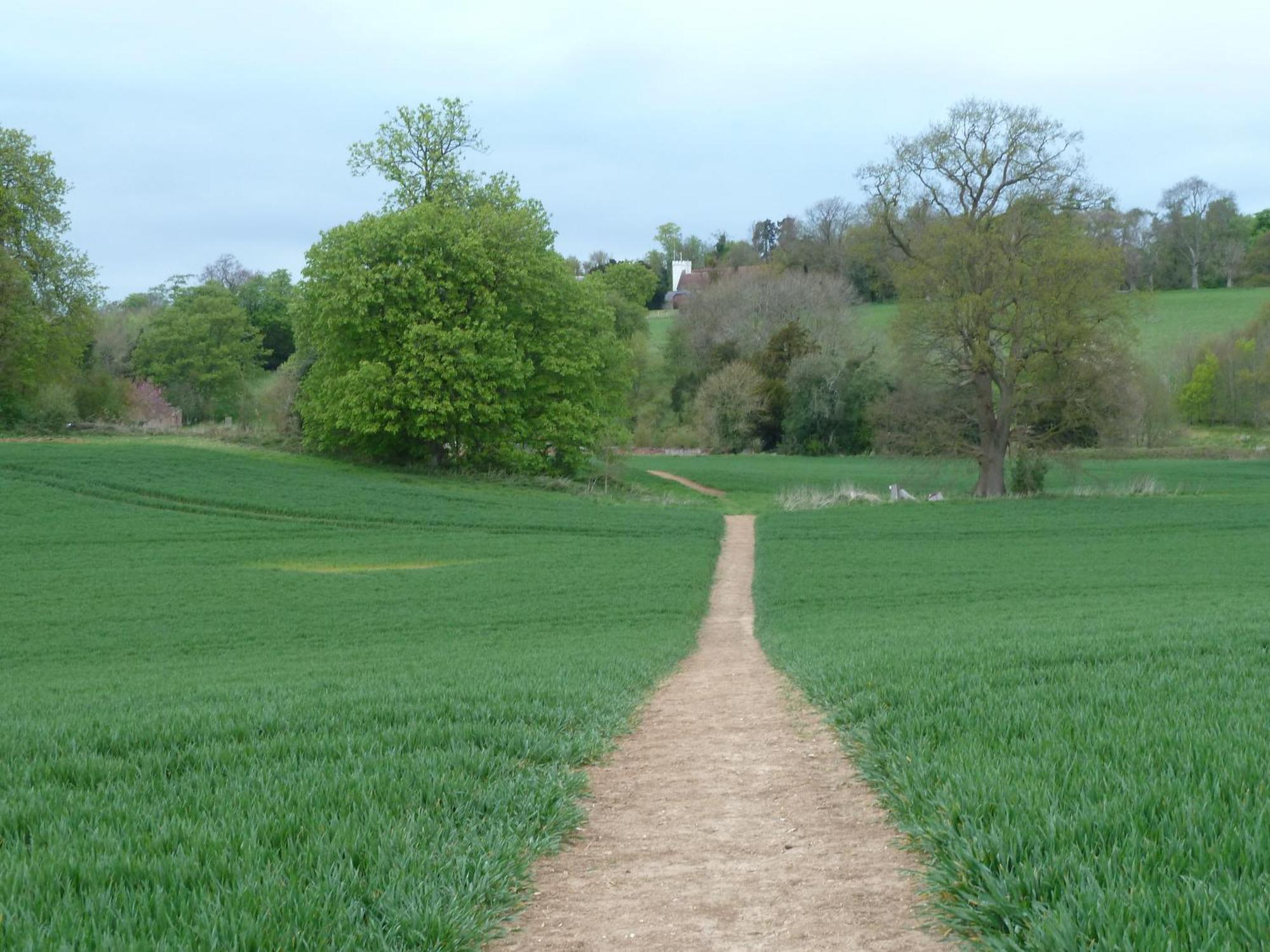 Doddington  Palace Farm Courtyard And Granary Rooms מראה חיצוני תמונה